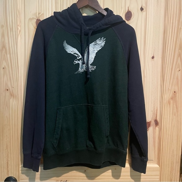 American Eagle Outfitters Blue and Green Hoodie with Silver Eagle - Picture 1 of 7